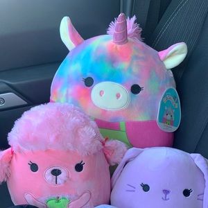 Squishmallow bundle